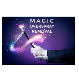 Magic Overspray Removal Logo