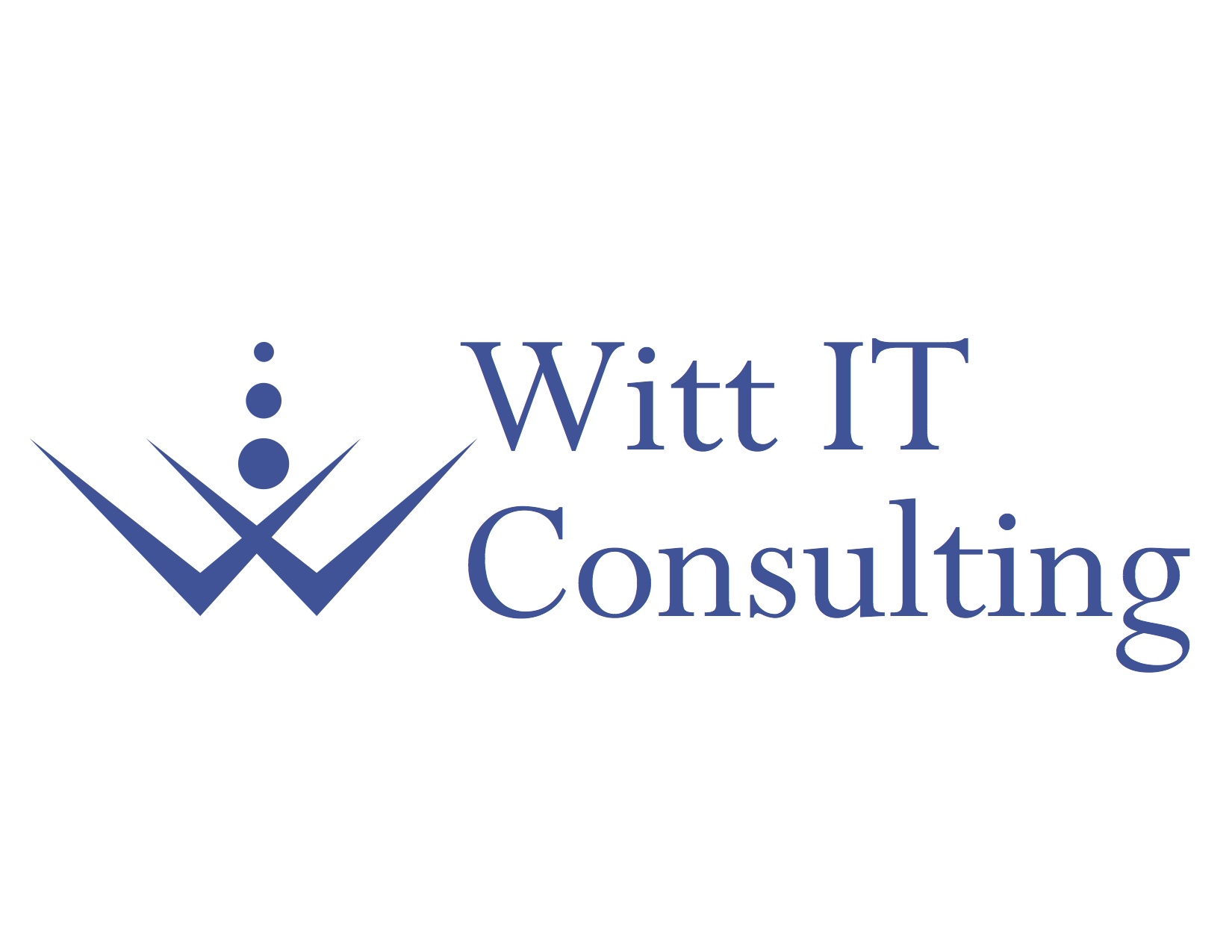 Witt IT Consulting - Web and SEO Experts Logo