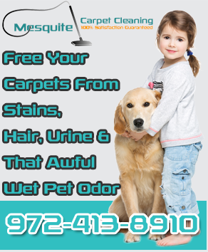 Mesquite Carpet Cleaning Logo