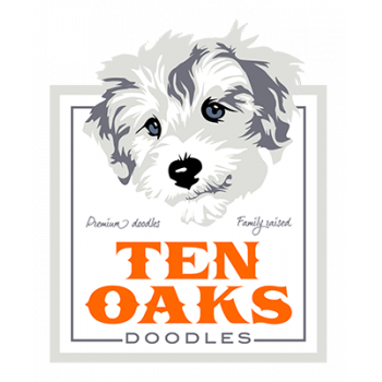 Ten Oaks Doodles Logo