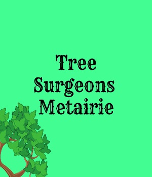 Tree Surgeons of Metairie Logo