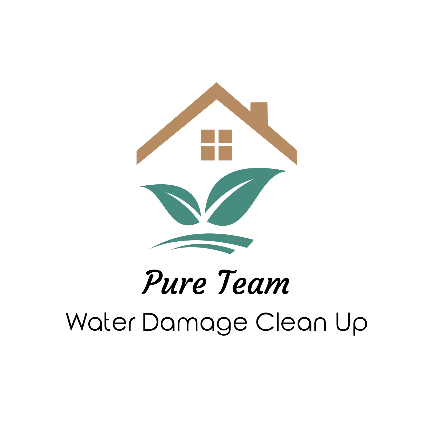 Pure Team Water Damage Clean Up &amp; Mold Remediation Logo