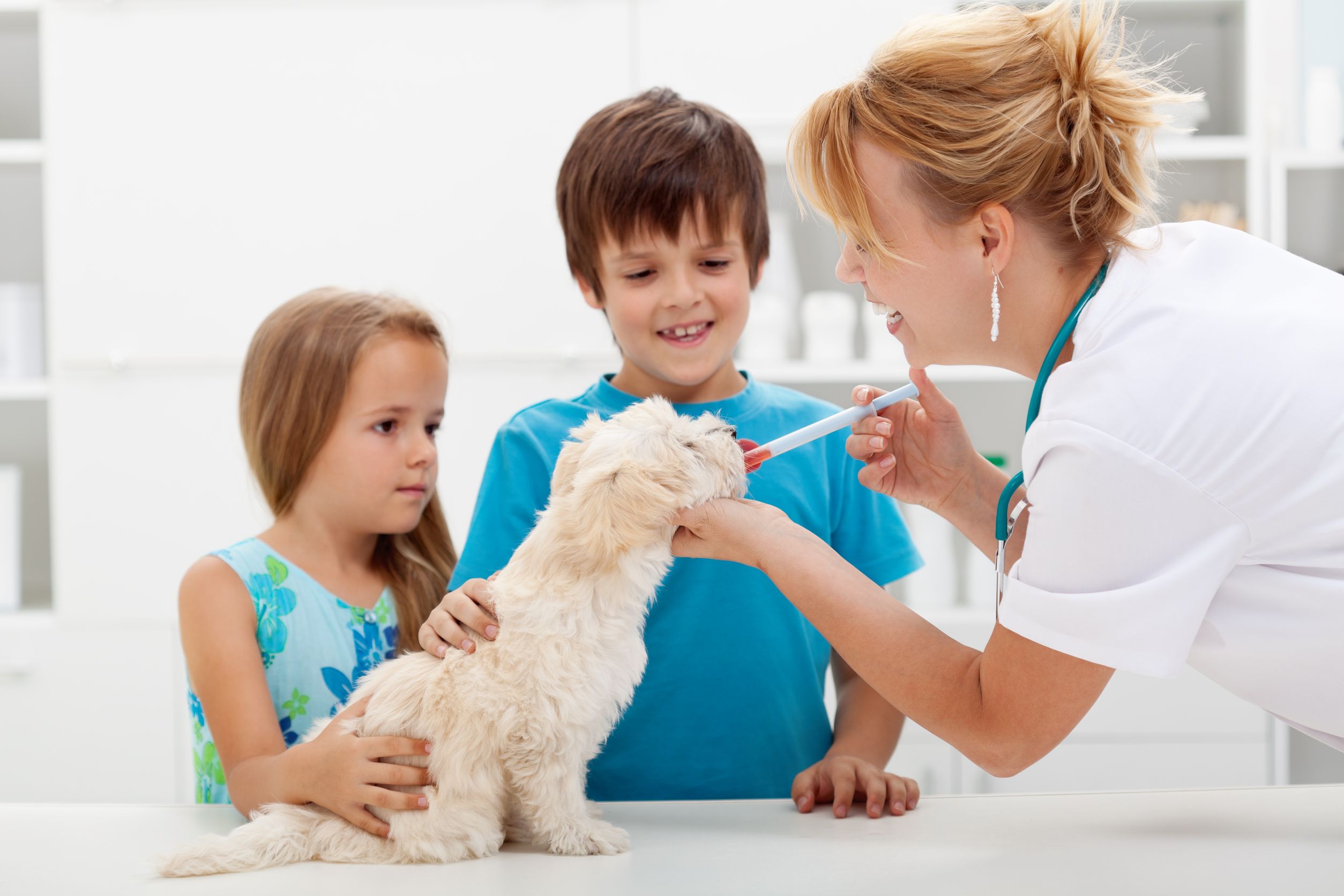 Veterinary Clinic in Fort Rucker, AL Logo