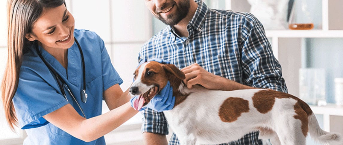 Veterinary Clinic in Zumbrota, MN Logo