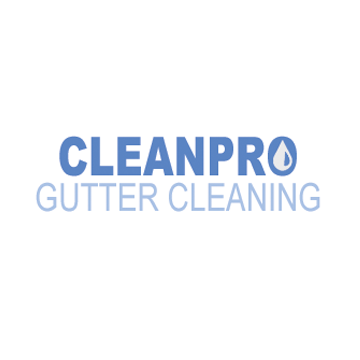 Clean Pro Gutter Cleaning Burlington Logo