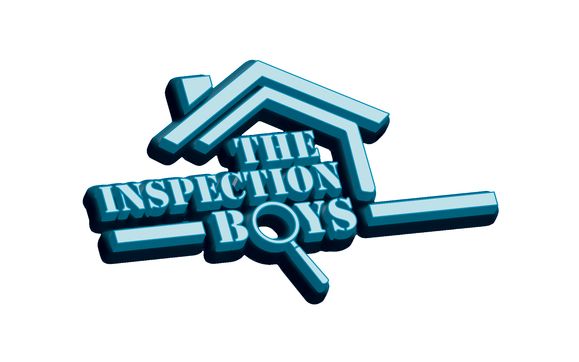 The Inspection Boys Logo