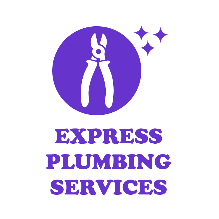 Express Plumbing Services Piru Logo