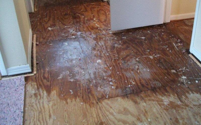 Water Damage Restoration Service in Indian Trail, NC Logo