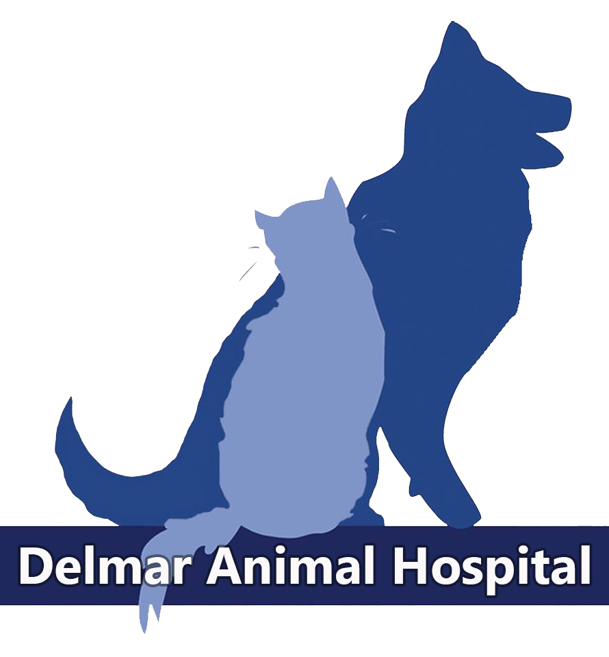 Delmar Animal Hospital Logo