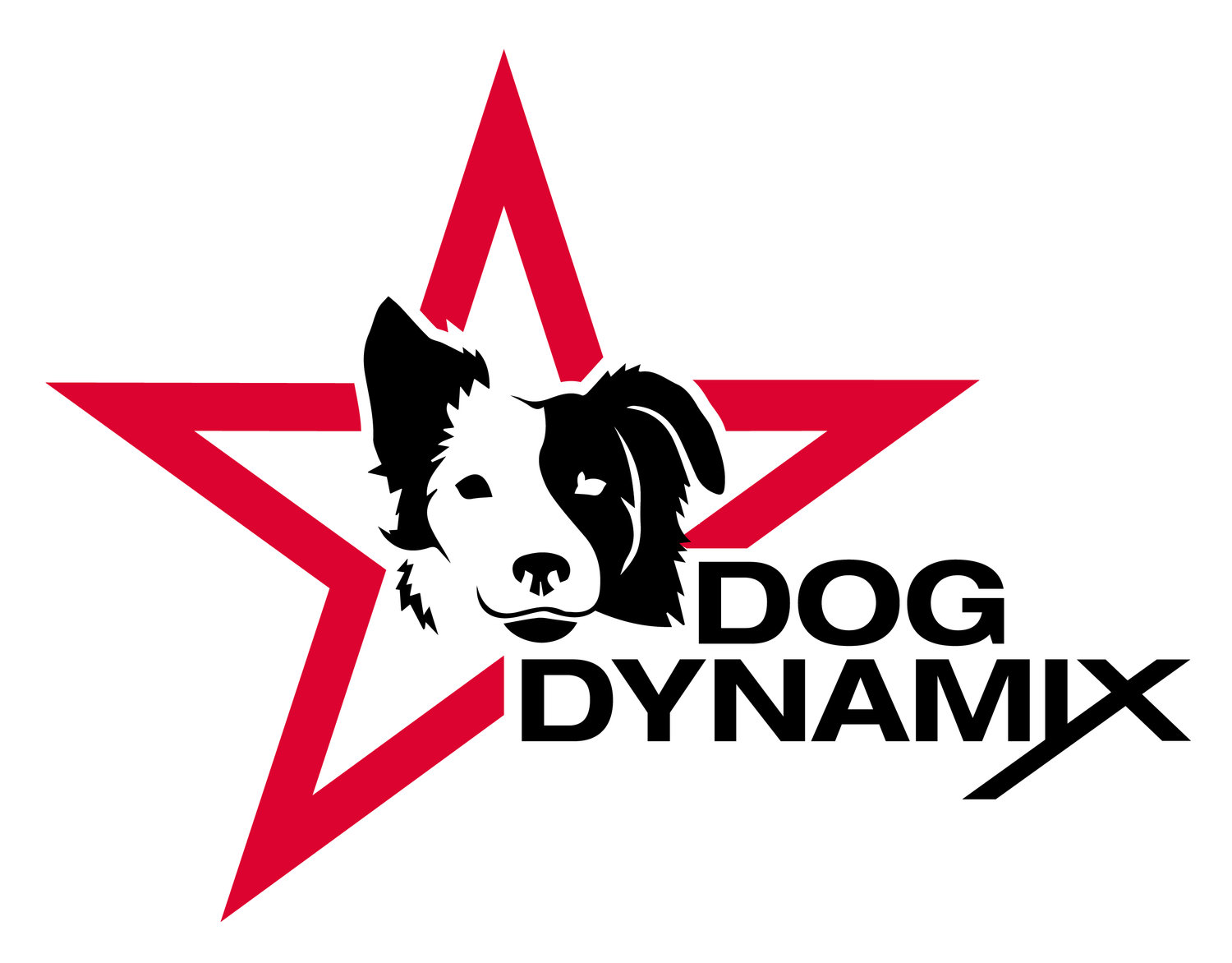 Dog Dynamix Ohio Logo