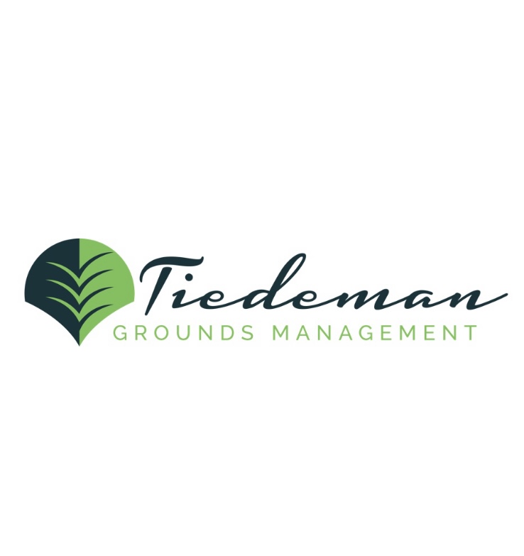 Tiedeman, LLC Logo