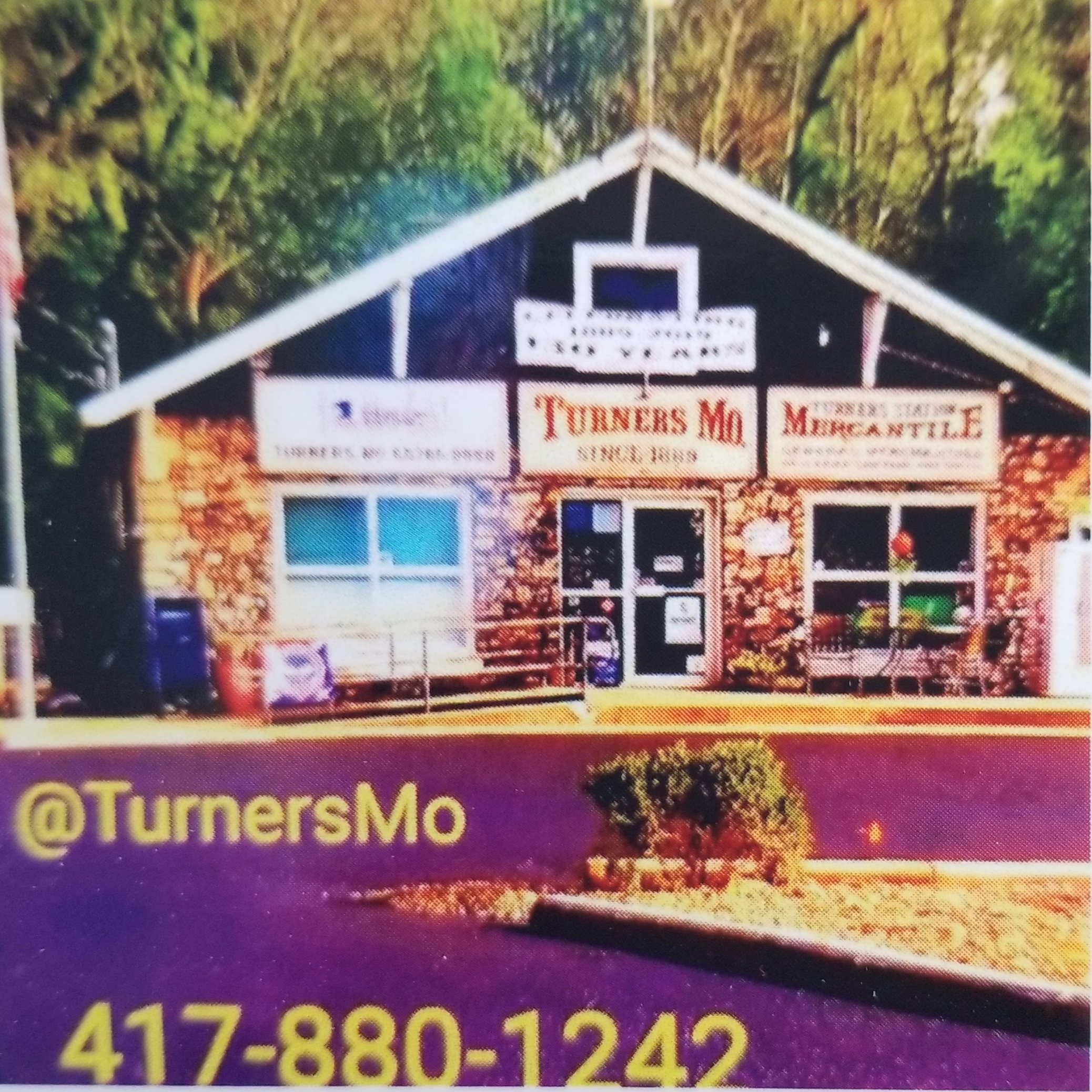 Turners Station Logo