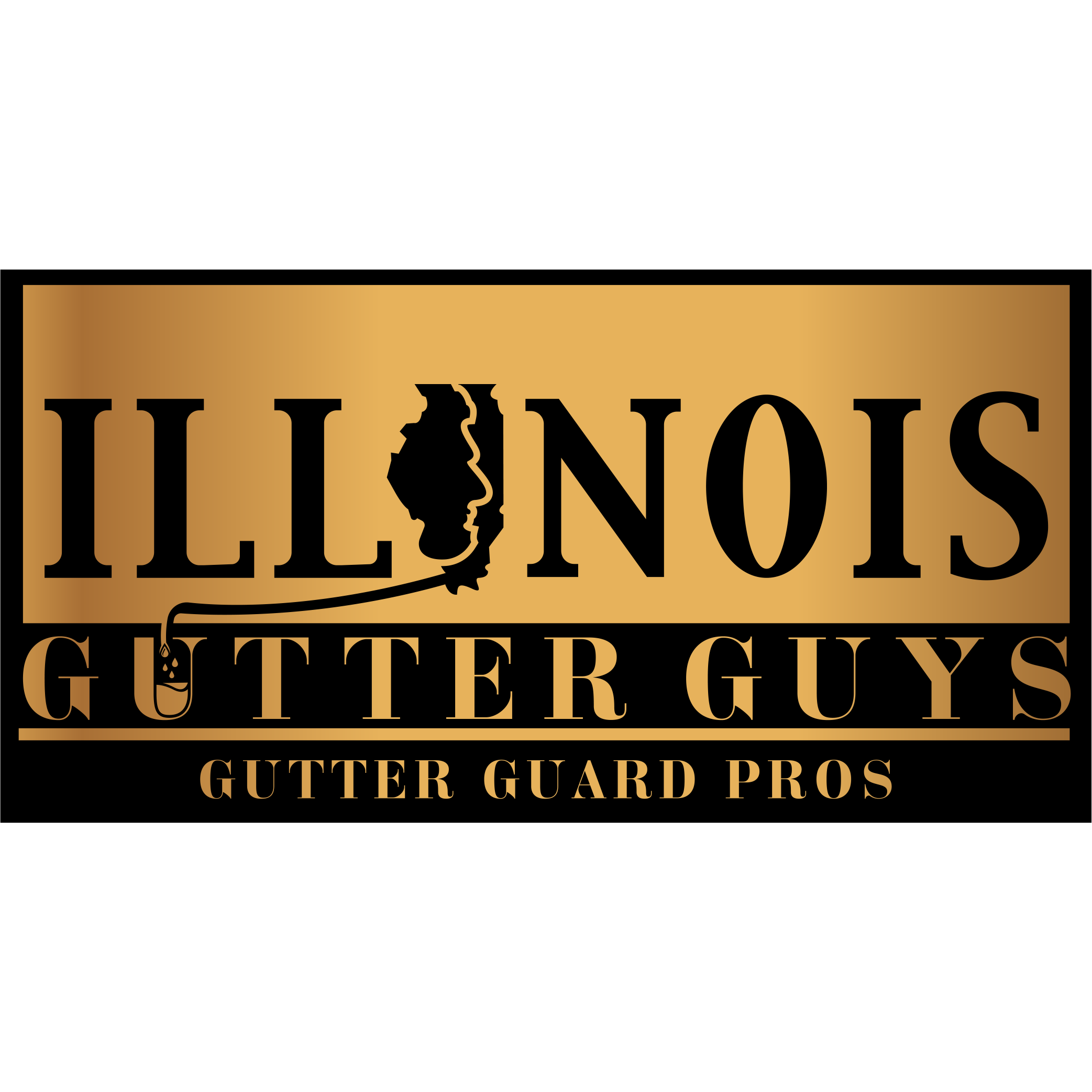 Illinois Gutter Guys Logo