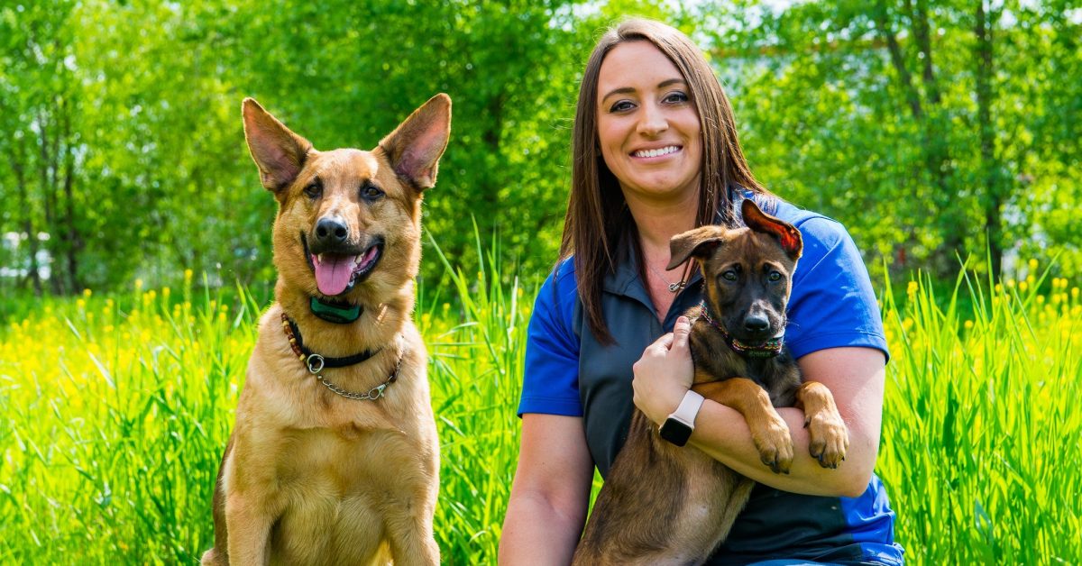 Sit Means Sit Dog Training Madison Logo