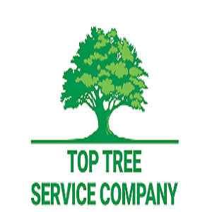 Naeem Tree Garden Company Logo