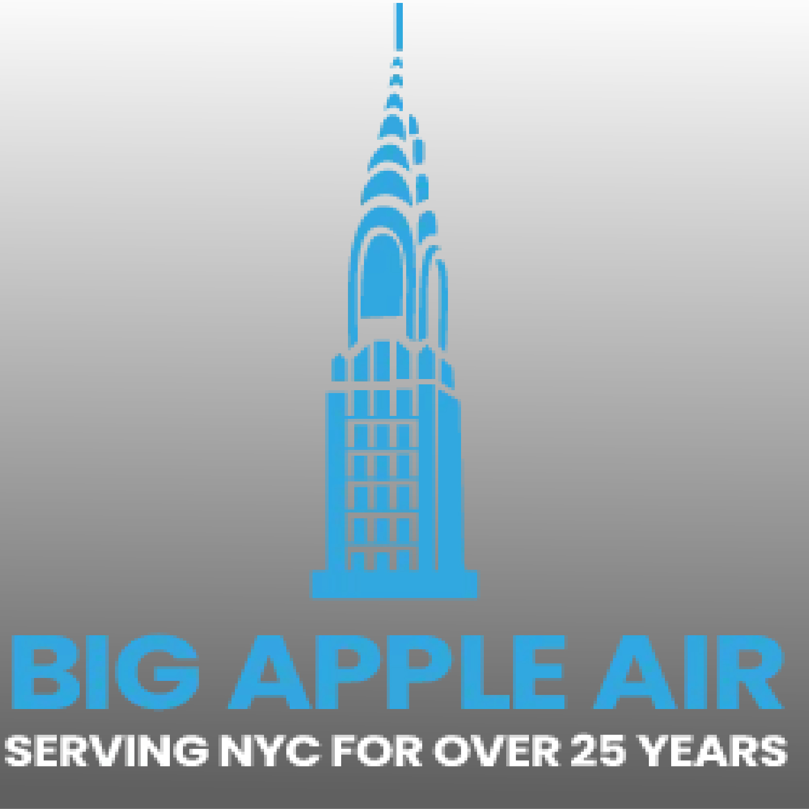 Big Apple Air Logo