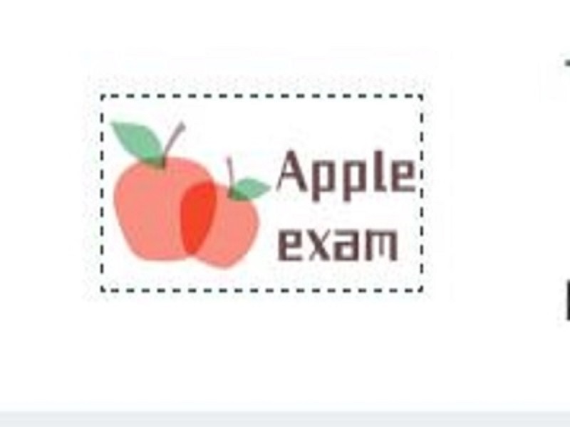 Apple Exam Logo