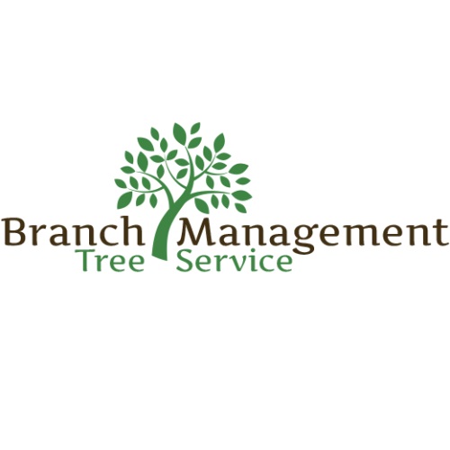 Branch Management Tree Service, LLC Logo