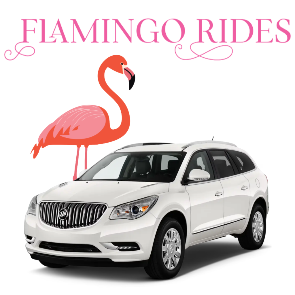 Flamingo Rides LLC Logo