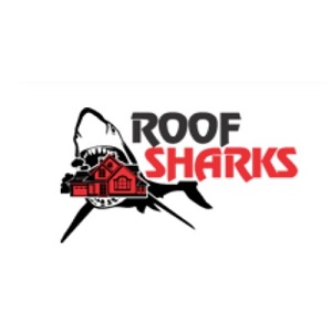 The Roof Sharks - Bridgeport, CT