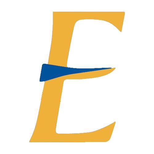 Everfast Fiber Networks Logo