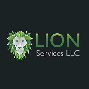 Lion Roofing - Gulfport, MS