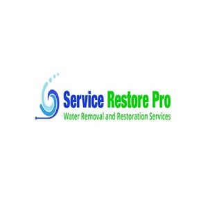 Service Restore Pro Logo