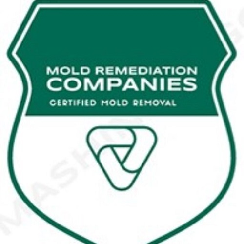 Lawrence Mold Remediation Pros Logo