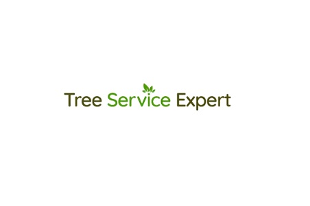 Tree Service Expert