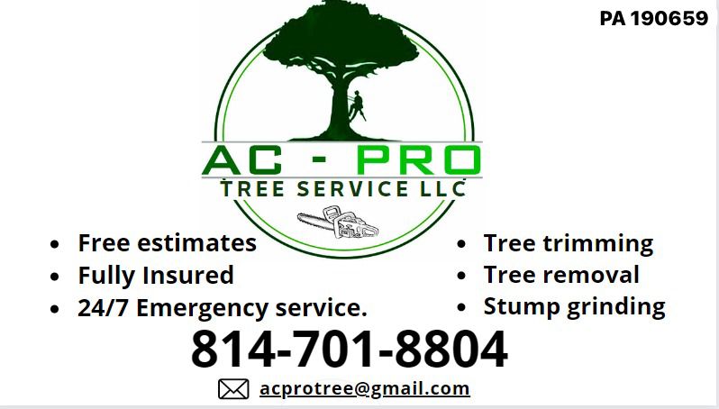 AC-PRO TREE SERVICE LLC
