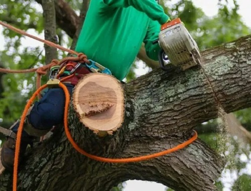 Big A's Avon Tree Service