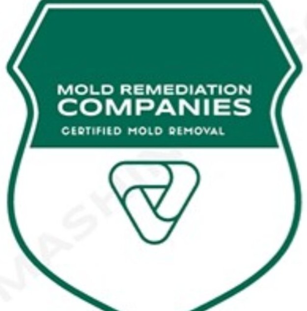 Service Pros Restoration of Castle Rock