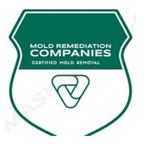 Salem Mold Remediation Pros