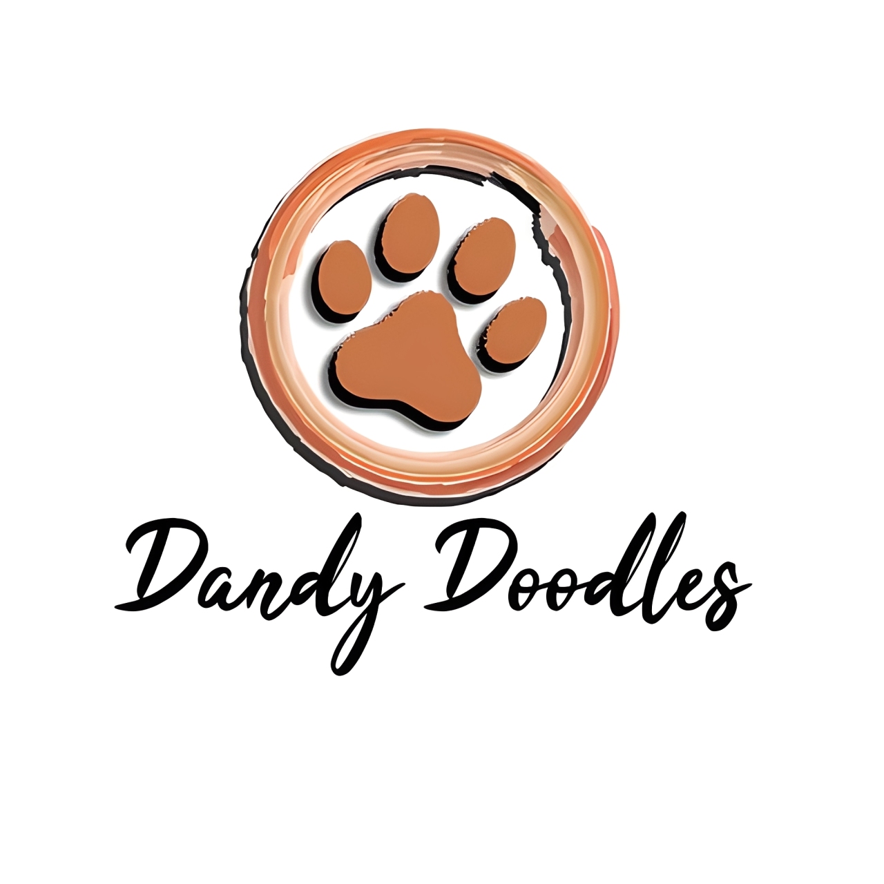 Our Doodle Dogs