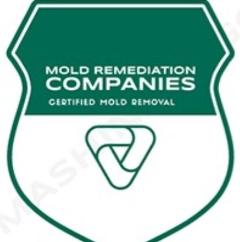 Reston Mold Remediation Pros Logo