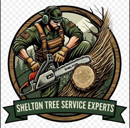 Shelton Tree Service Experts
