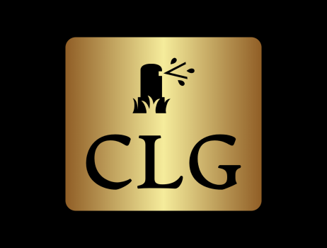 Colorado Lawn Guys Logo