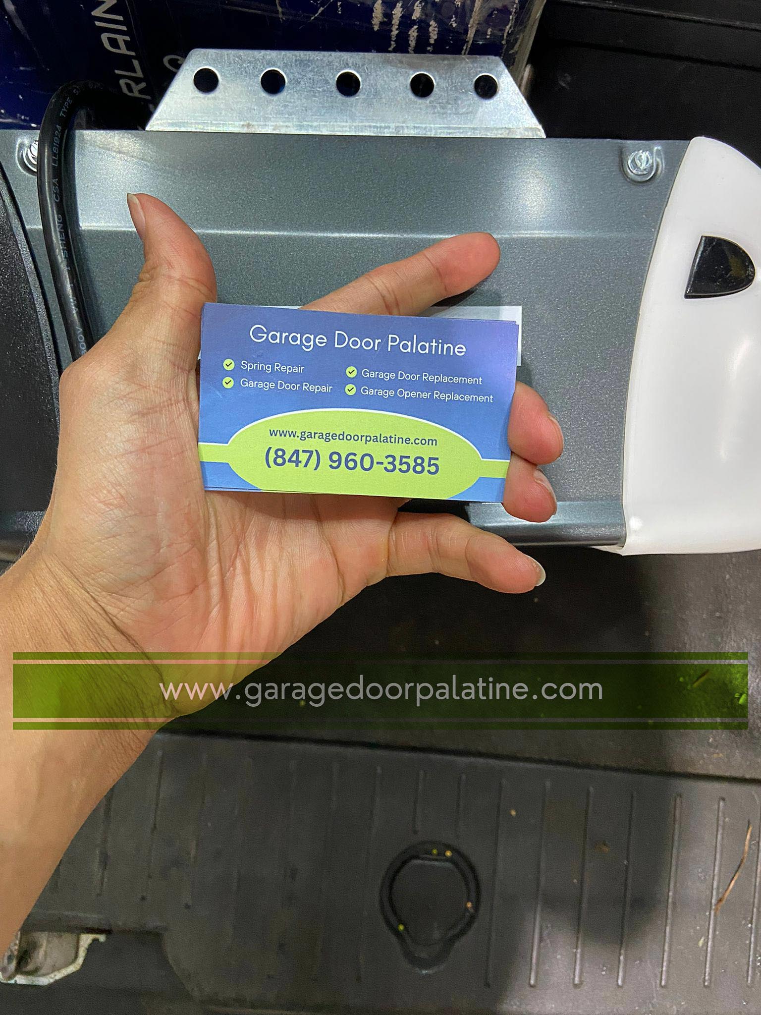 Garage Door Palatine