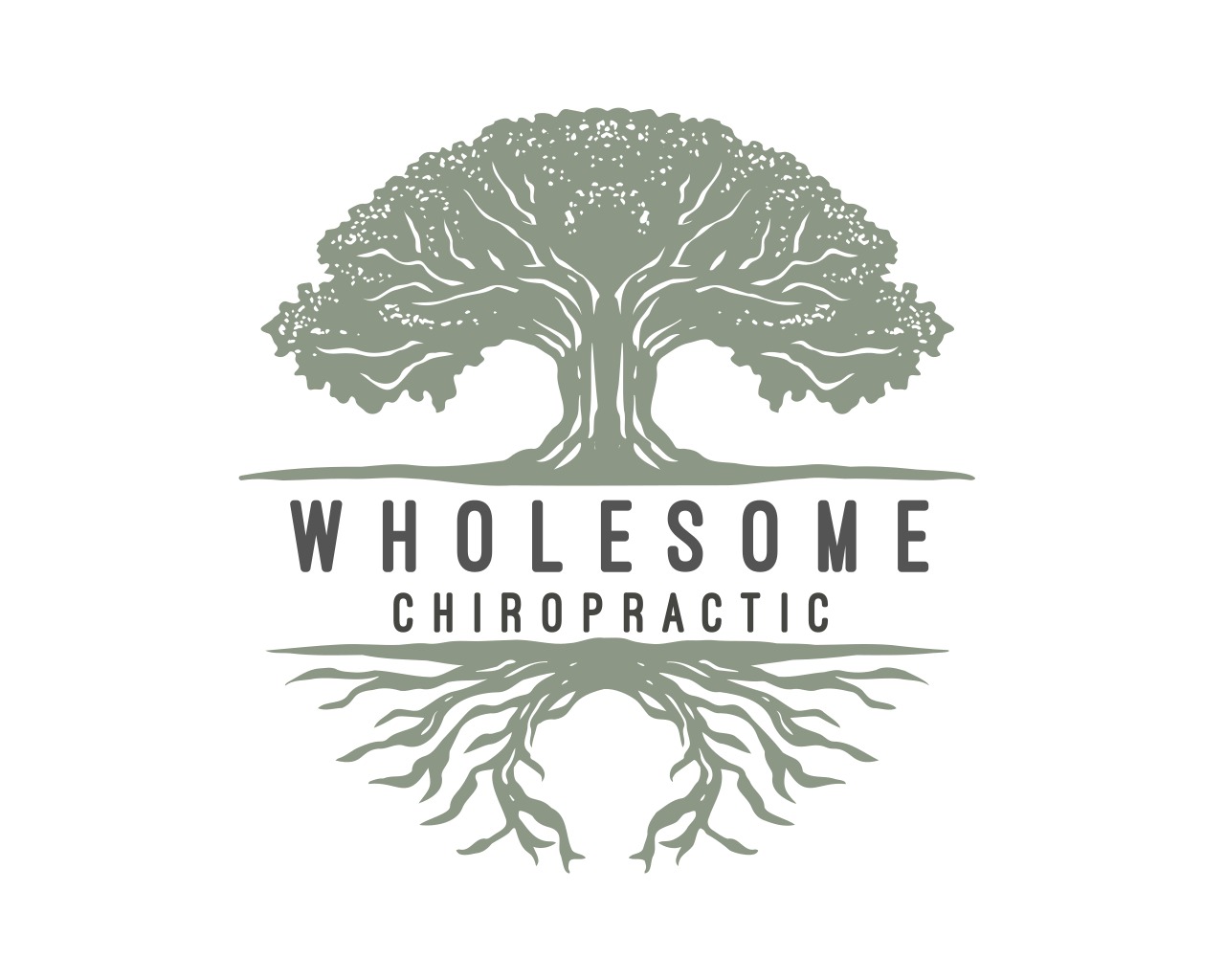 Wholesome Chiropractic, PLLC