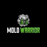 Mold Warrior Denver