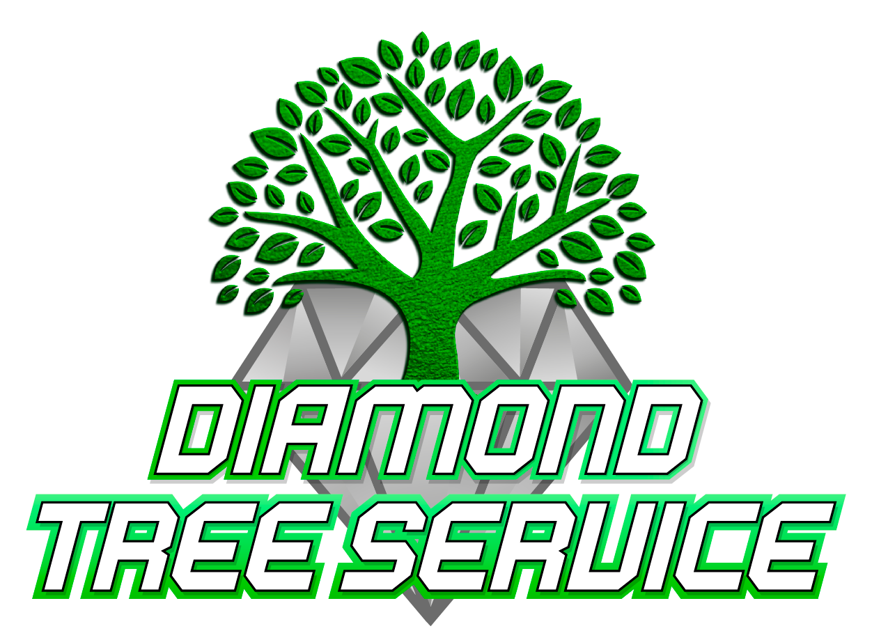 Diamond Tree and Landscaping Service