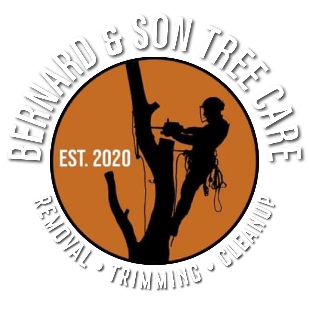 Bernard and Sons Tree & Lawn Care