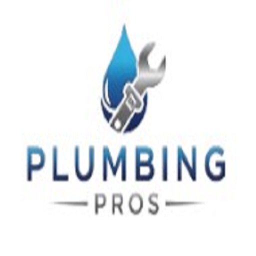 Bethel Park Plumbing Pros