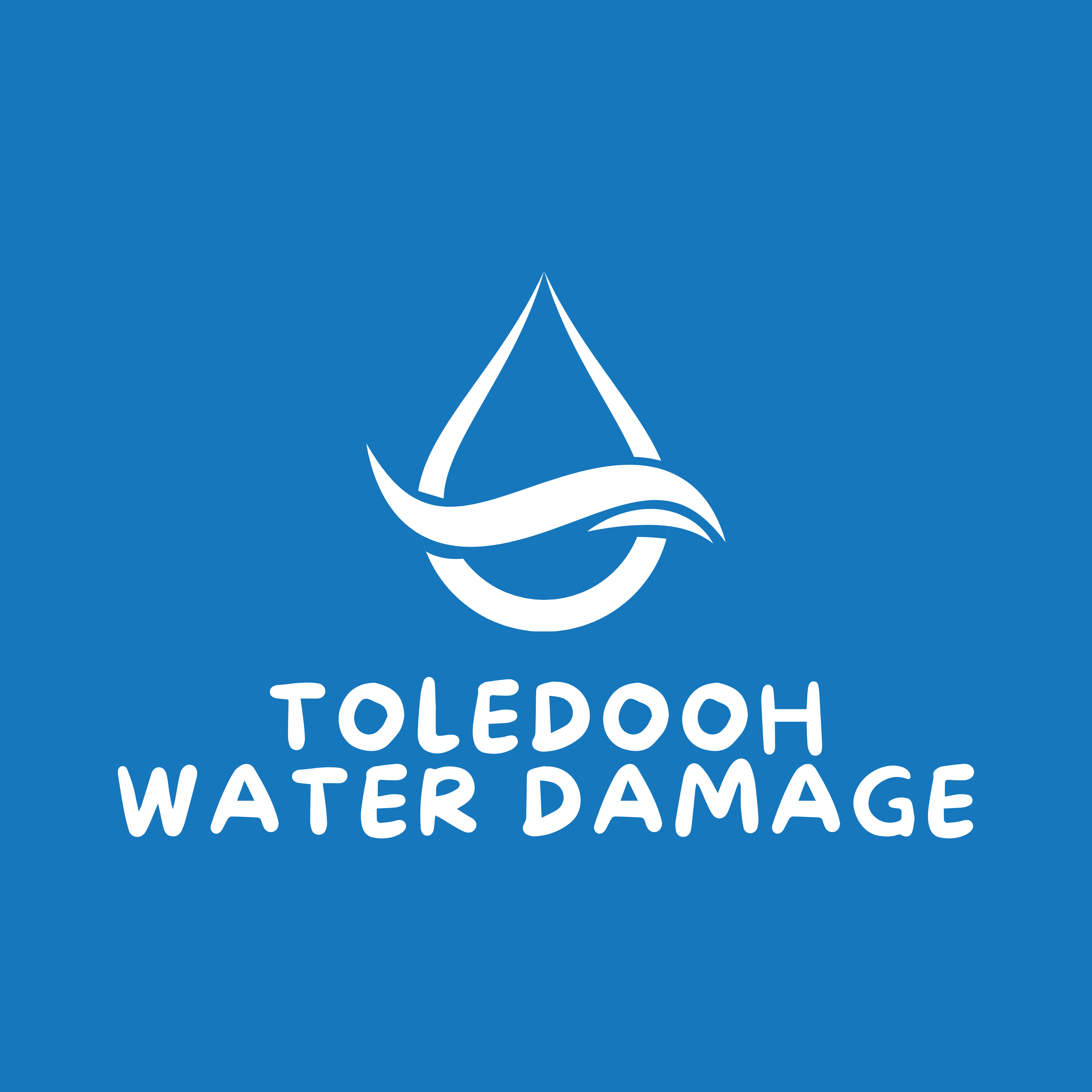Toledo Water Damage Logo