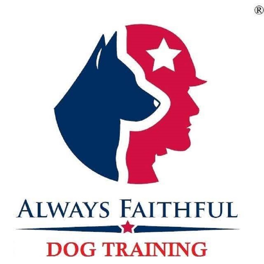 Always Faithful Dog & Puppy Training Pittsburgh PA