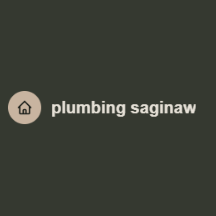 plumbing saginaw Logo