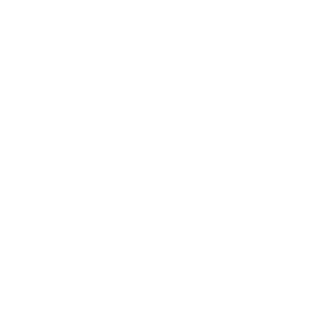 FS Food Group Logo