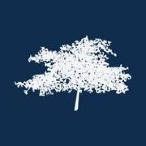 Calm Tree Therapy