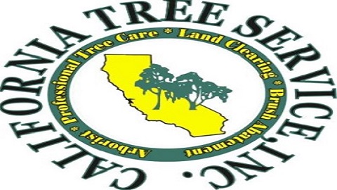 Saira tree services Logo