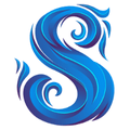 TheSkyOnlineStore LLC Logo